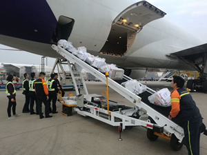 Cargador de cinta transportadora de equipaje  